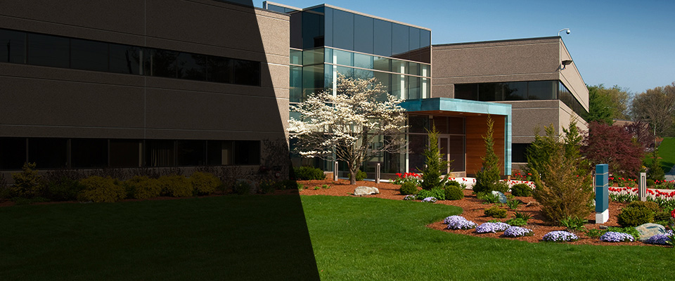 Queens Village Landscapers