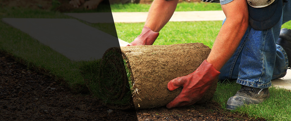 Queens Village Landscapers